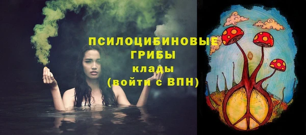 эйфоретик Зеленокумск
