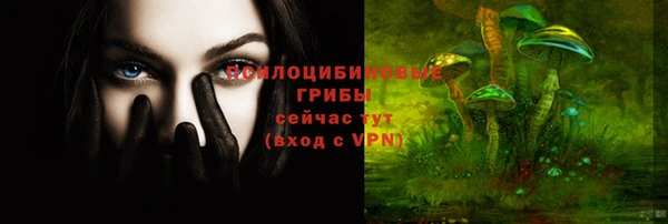 эйфоретик Зеленокумск