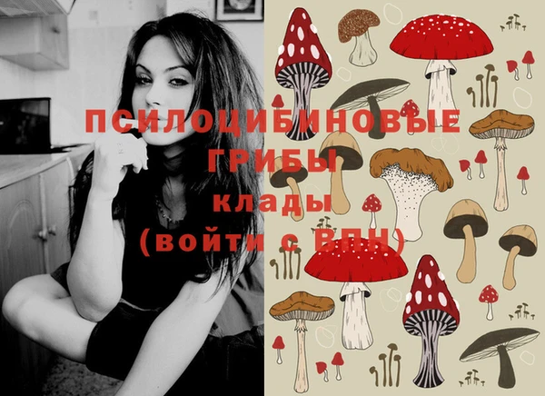 тгк Зерноград