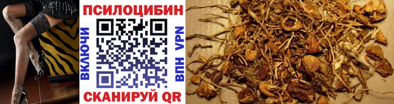 Галлюциногенные грибы Magic Shrooms  Купить закладки  Железноводск 